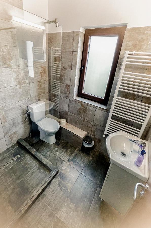 Pensiunea Balkan Gornea エクステリア 写真