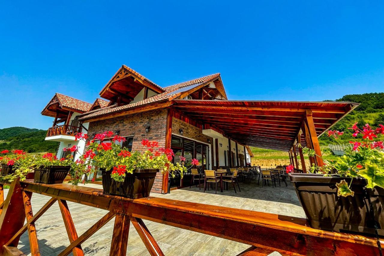 Pensiunea Balkan Gornea エクステリア 写真